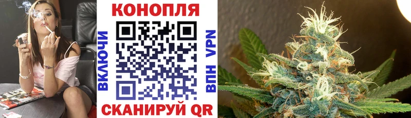 Конопля VHQ  Купить  Фролово 